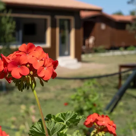 Cirali La Maison Hotel *