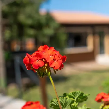 Hotel Cirali La Maison Kemer